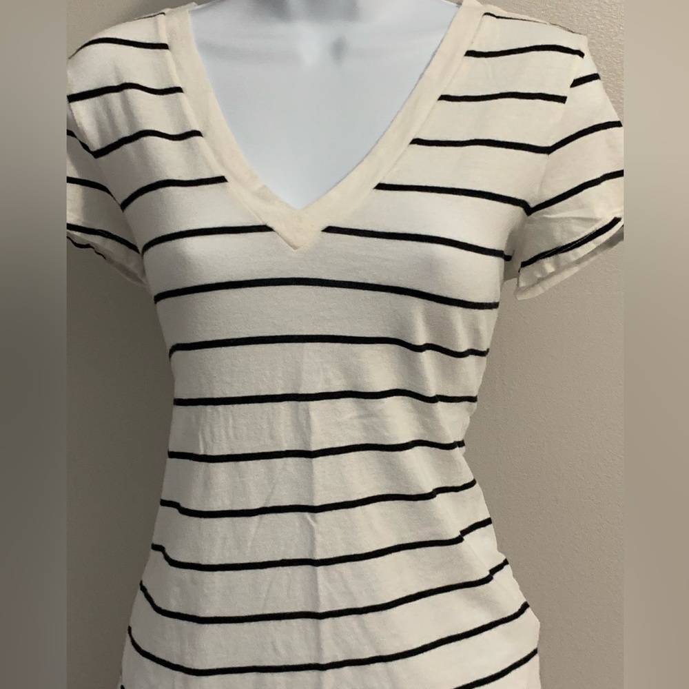 Express V- Neck T -Shirt